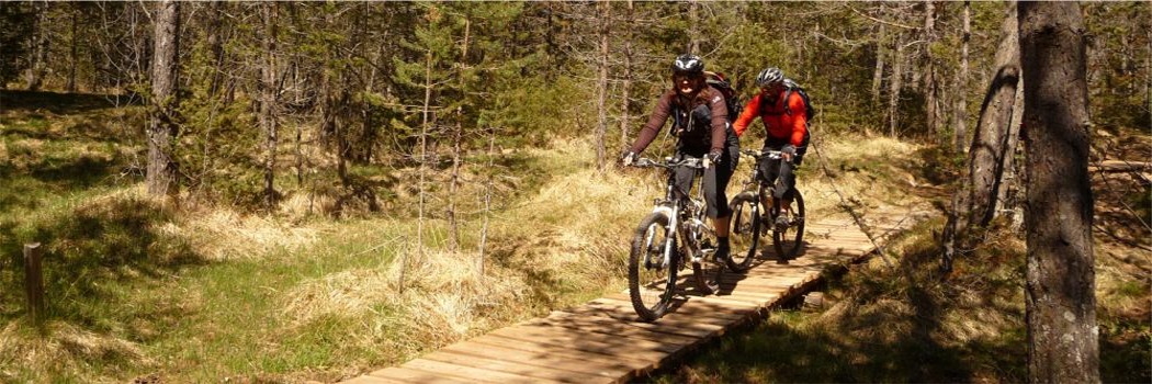 Mountainbike Angebot am Ritten in Südtirol 
